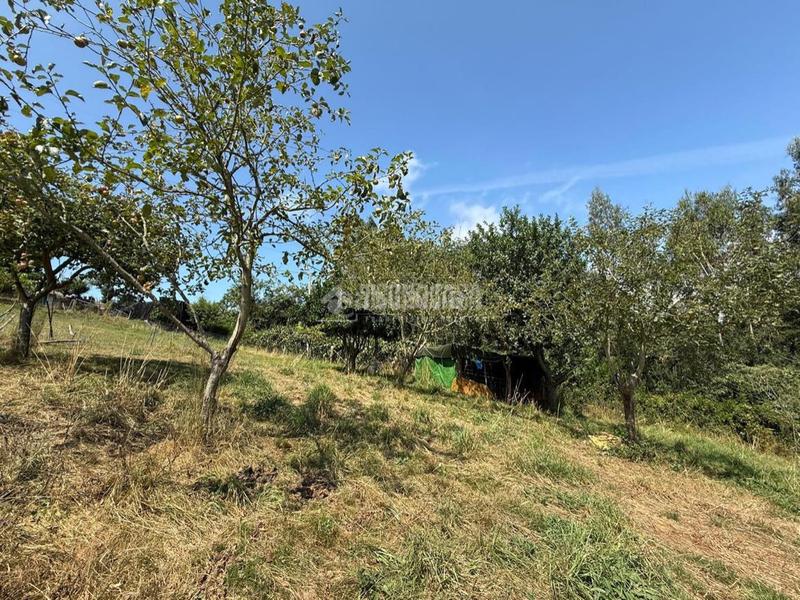 Foto b565a834-0a7a-40db-8493-bb7bbfbd08a6. Maison dans Cenero Gijón
