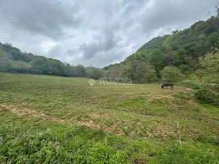 Bauernhof in Llano. Casa rural en venta en gijón