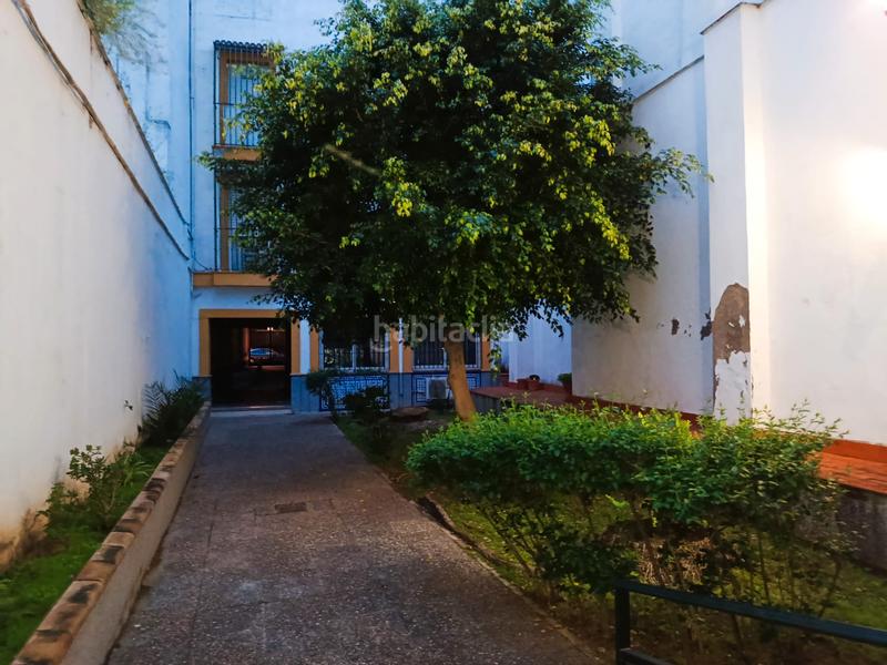 Foto a82dccfc-0a45-4761-82b8-94d790aae94c. Pis a Triana Casco Antiguo Sevilla