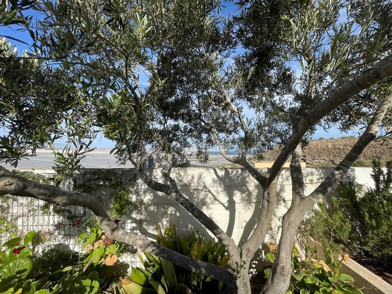 Foto 28378819-d26f-4395-90e0-7298a183b0d0. Maison avec piscine dans Guardias Viejas Ejido (El)