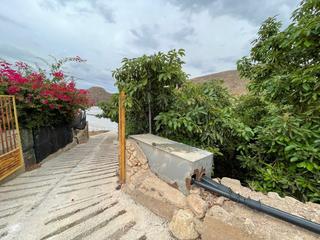 Fondo rustico in De las cuevas 1. Finca rustica en dalias