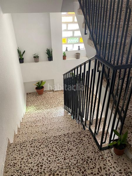Foto bdfa8ae4-1d57-4caa-aead-74ea540c9744. Pis a tulipanes 15 a Ejido centro Ejido (El)