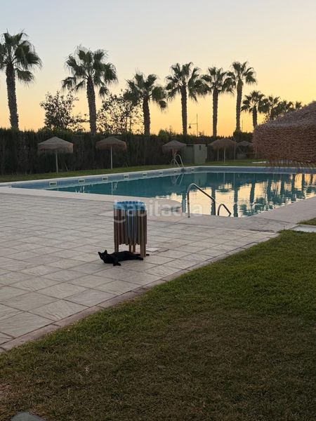 Foto a949d116-d008-4fe8-9392-2c1829aa35f9. Miete appartement mit pool in Almerimar Ejido (El)