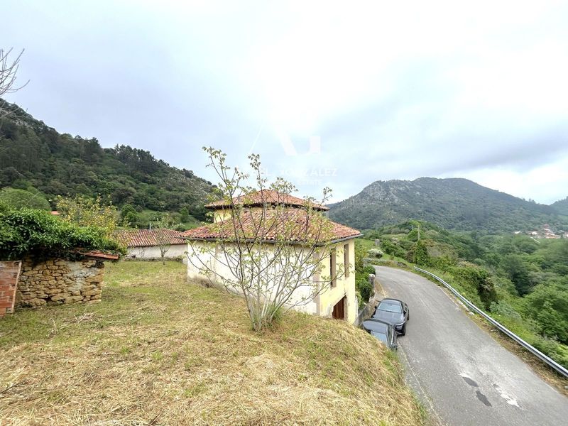 Foto 2a6da1c4-709e-4630-bc3e-dff082794924. Casa amb aparcament a Peñamellera Baja