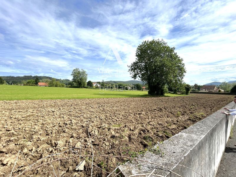Foto 25491a5a-99e7-4432-b2e1-003f79ae6d6c. Finca rústica a mies de la puerta 6 a Escalante