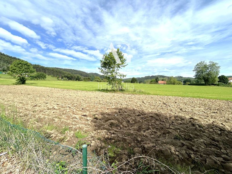 Foto 6d2a2714-055d-44a4-a2e6-63c14a391669. Finca rústica a mies de la puerta 6 a Escalante