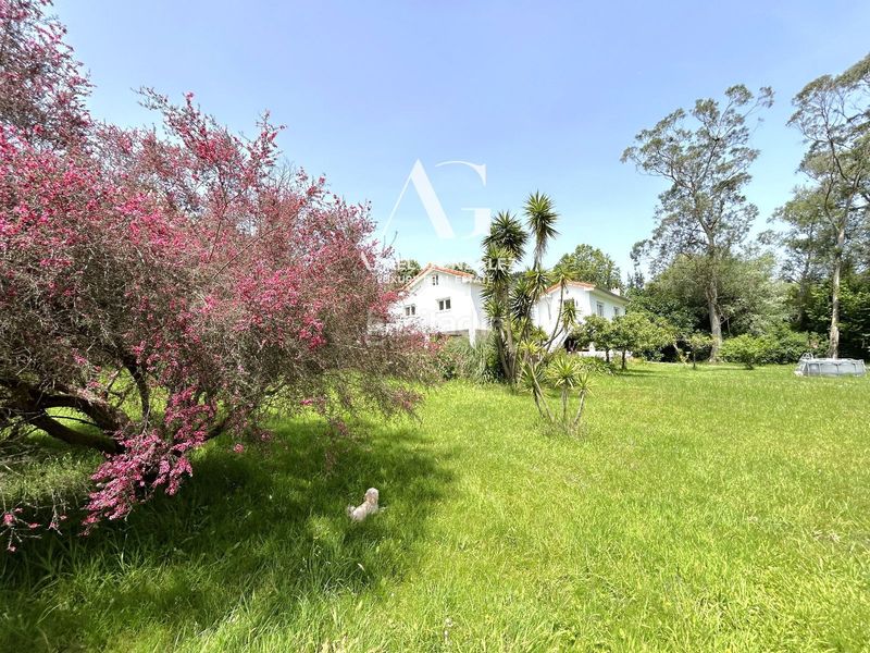 Foto 1995292e-d291-4add-a823-480b8624c04f. Casa a ceneras - Mogro 77 a Mogro Miengo