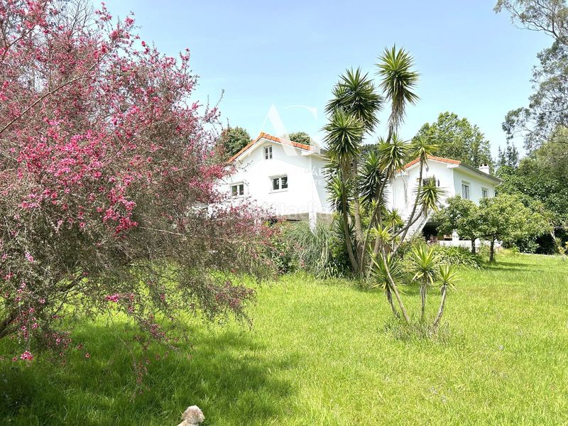 Foto e036acef-9426-4e80-94e1-0a0ad6e56933. Casa a ceneras - Mogro 77 a Mogro Miengo