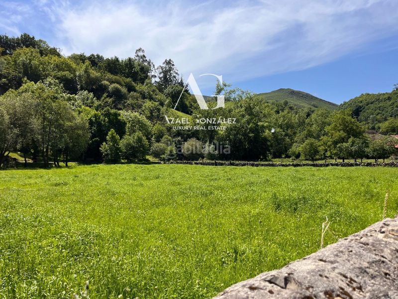 Foto 0c3fa5a6-6fce-4ff9-a7ac-1a809269957a. Finca rústica a poblado Ruente 4 a Ruente