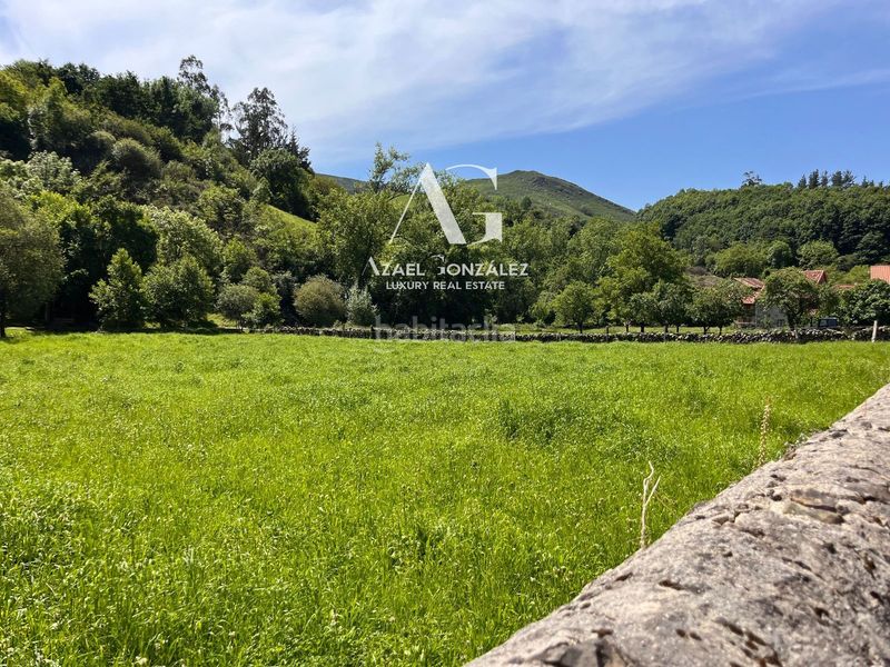 Foto 6a2f9729-8008-44b7-9967-72a9eec93e9c. Finca rústica a poblado Ruente 4 a Ruente