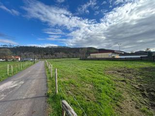 Terreny residencial a Mazcuerras. Finca en riaño de ibio