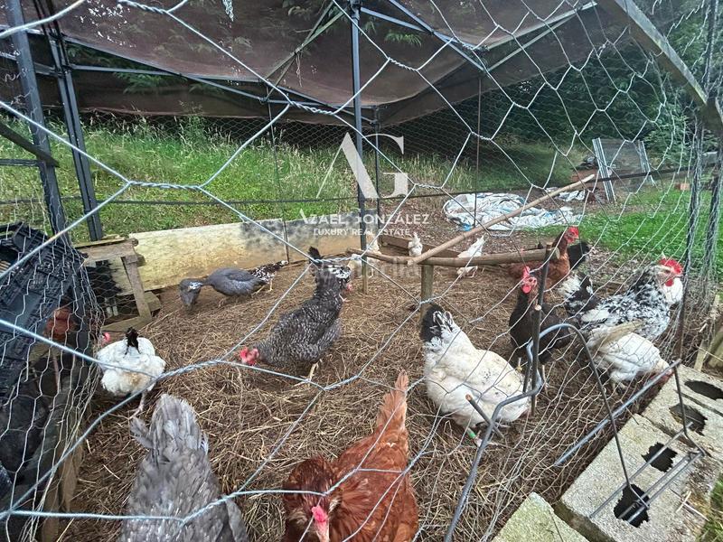 Foto 45dc681e-ef48-4028-b878-0e9ec6928e2d. Landgut in Santa María de Cayón