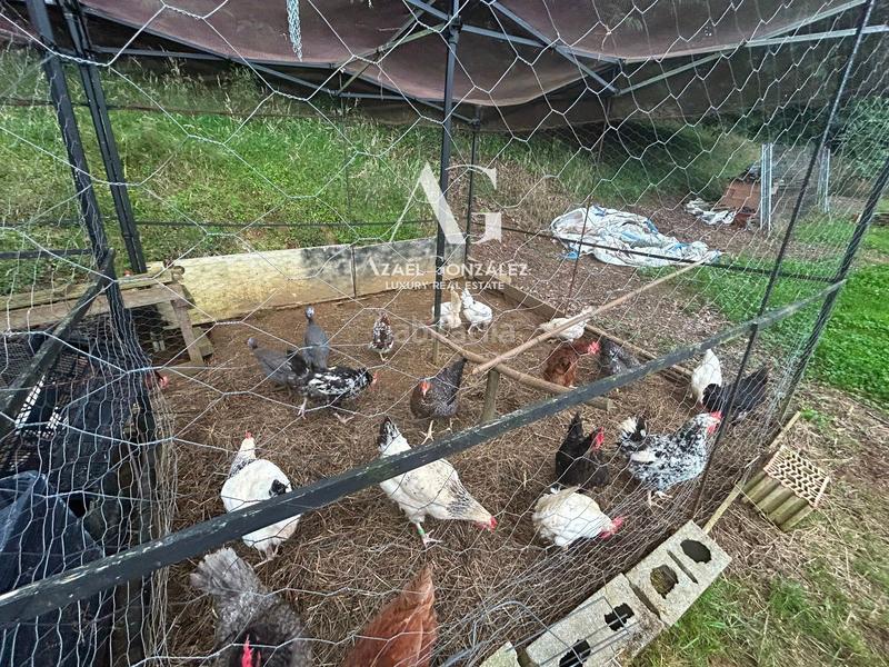 Foto cde8d2f5-7a0f-4118-ac91-c88dc08bae9b. Landgut in Santa María de Cayón