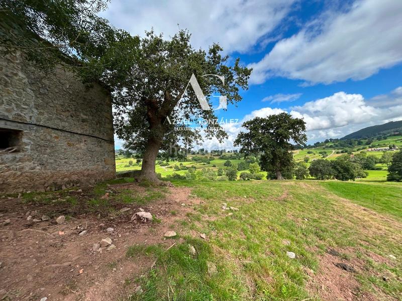 Foto 7e5e9da1-e4f6-4eda-bce9-d388f5e01d7c. Chalet parcela con cabaña en esles en Santa María de Cayón