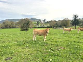 Finca rústica  El cierro, ribamontán al monte. Dos fincas rústicas contiguas en ribamontán al monte  proyecto f