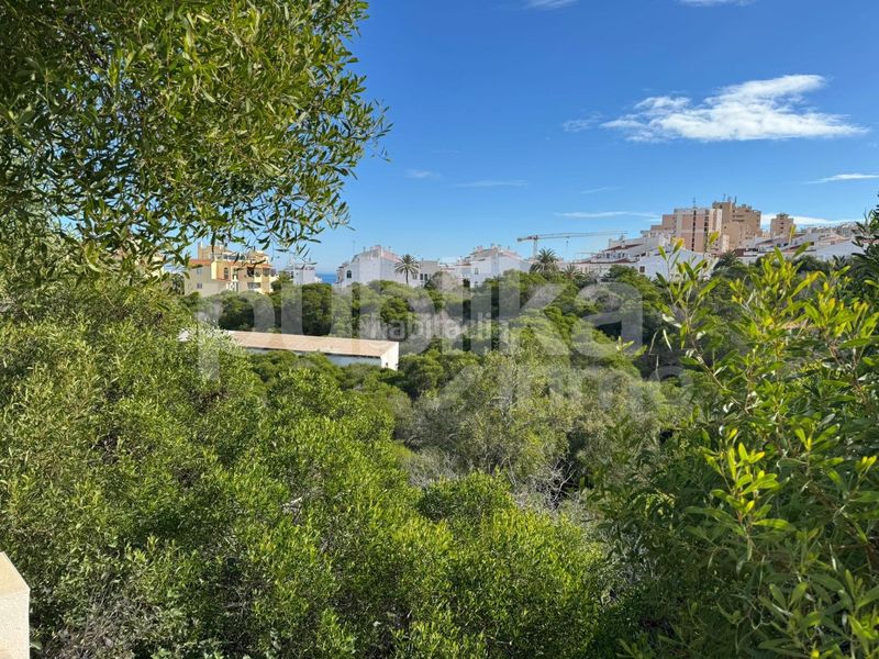 Foto 4f182fb3-3aa4-4bdc-9a0c-bc514539089b. Casa adossada amb piscina a Torreblanca Torrevieja