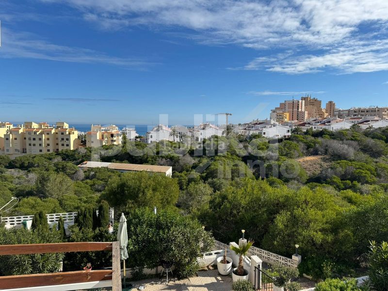 Foto d72bd7b1-a103-4aaa-8f66-c8b7db171345. Casa adossada amb piscina a Torreblanca Torrevieja