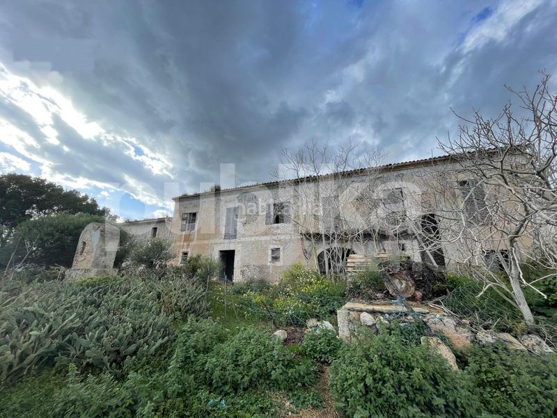 Foto 1aa50e9b-a78e-4508-89c6-828c9be03be0. Masia a Manacor centre Manacor