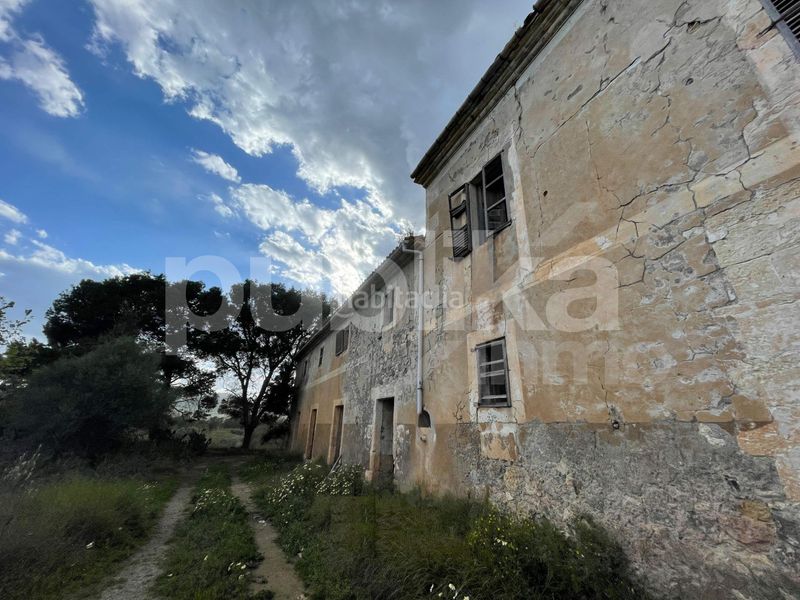 Foto 83e36a44-653f-414c-acd0-ce9f35f1d598. Masia a Manacor centre Manacor