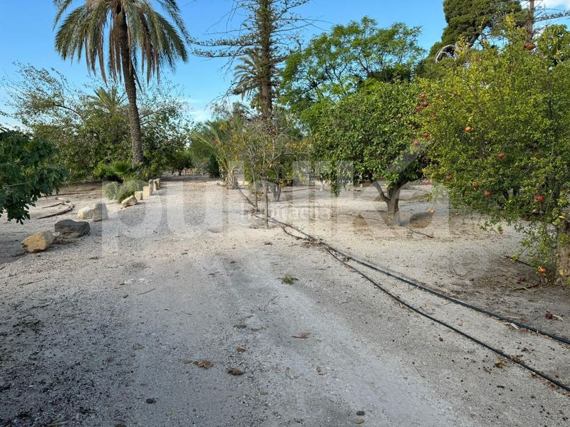 Foto 24a18c6b-d0b9-4082-a76d-fa68fa2b80a7. Xalet amb calefacció aparcament piscina a Alzabares Elche / Elx