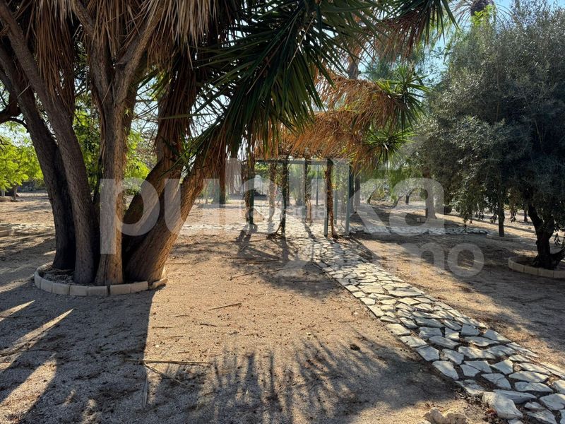 Foto ca14a725-e3c7-4a43-a543-9d36266d9027. Xalet amb calefacció aparcament piscina a Alzabares Elche / Elx