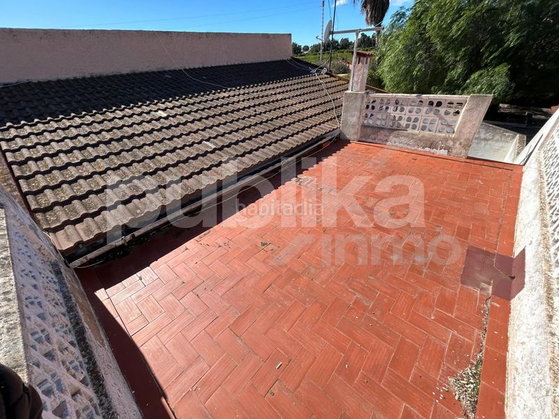 Foto 1c8081ec-6311-43ad-a444-38728418570e. Masia a altet 1196 a Los Arenales del Sol Elche / Elx