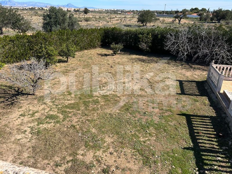 Foto 50bda066-1013-406e-af77-8514eb708a54. Masia a altet 1196 a Los Arenales del Sol Elche / Elx