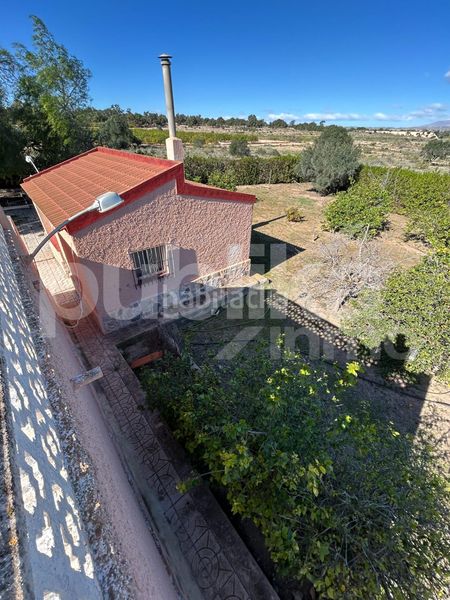 Foto 7bf38107-48b1-484e-becc-b5add0d420bc. Masia a altet 1196 a Los Arenales del Sol Elche / Elx