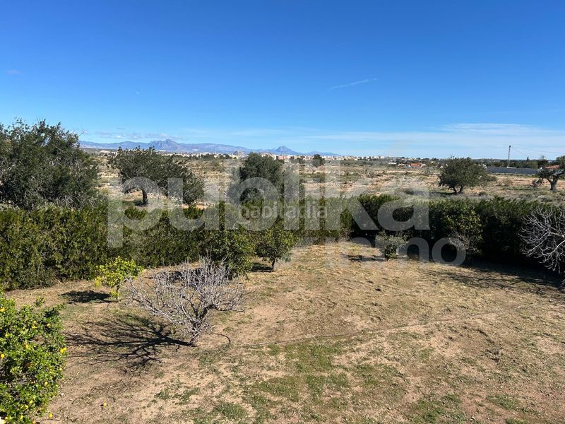 Foto 7ce533a1-ded3-425b-b2c6-6ba2eb3f9beb. Masia a altet 1196 a Los Arenales del Sol Elche / Elx