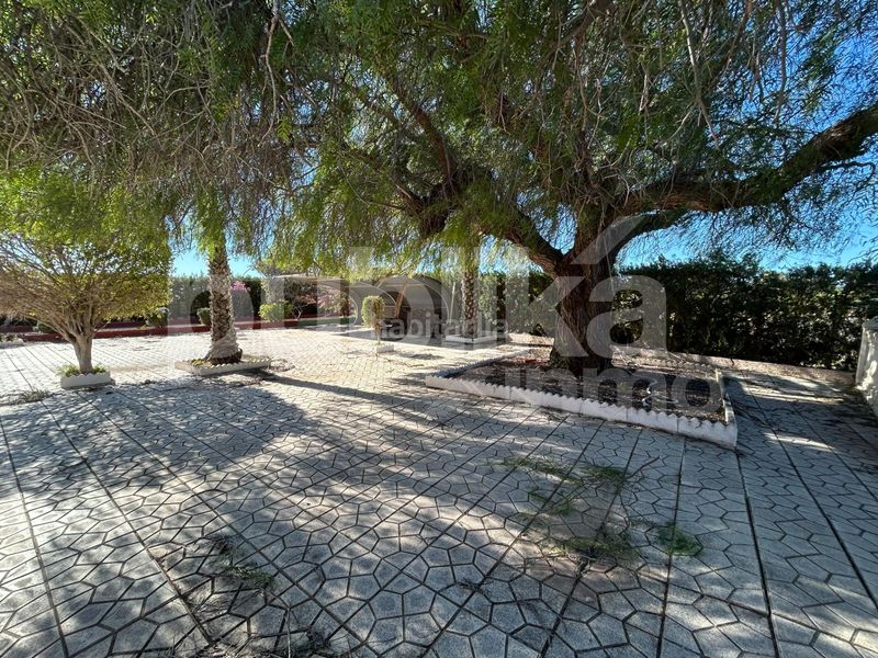 Foto bb94521a-a0fa-438e-8726-cfade306ae31. Masia a altet 1196 a Los Arenales del Sol Elche / Elx