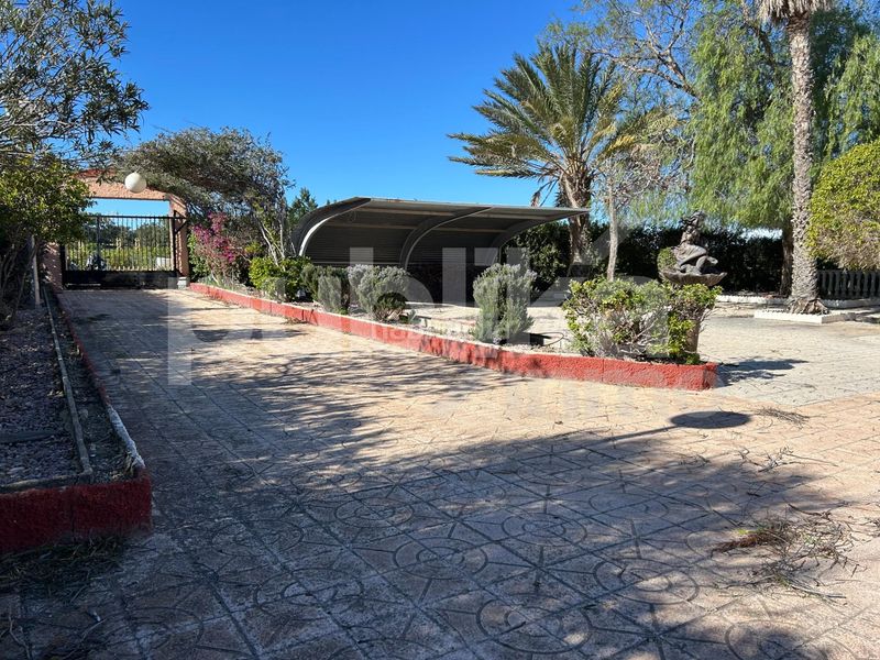 Foto eae79885-357b-4ed5-bb76-91e8c7854749. Masia a altet 1196 a Los Arenales del Sol Elche / Elx