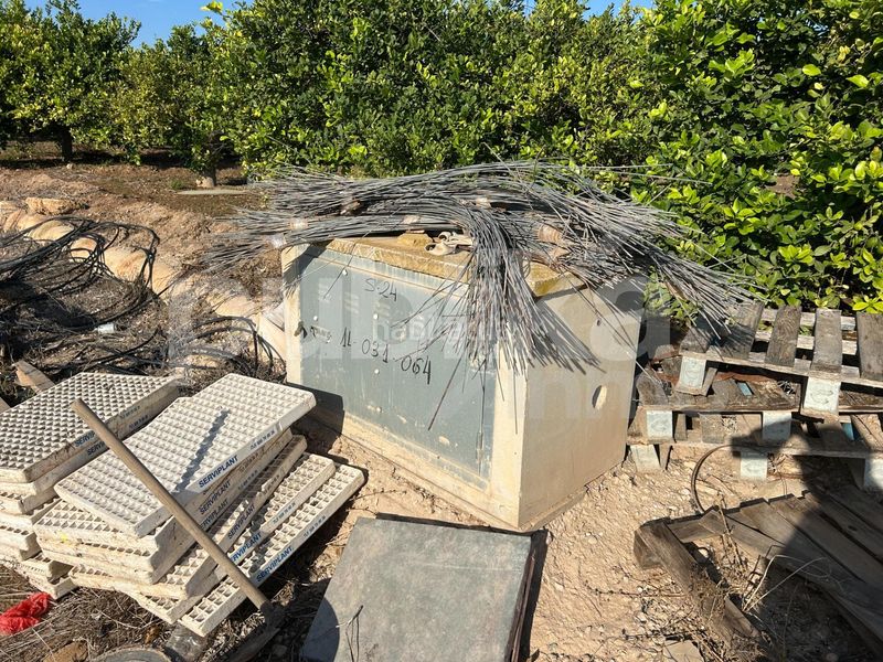 Foto 97981203-cb7c-4a69-aed1-92eb5995fd4c. Finca rústica a partida baya baja 53 a Las Bayas Elche / Elx