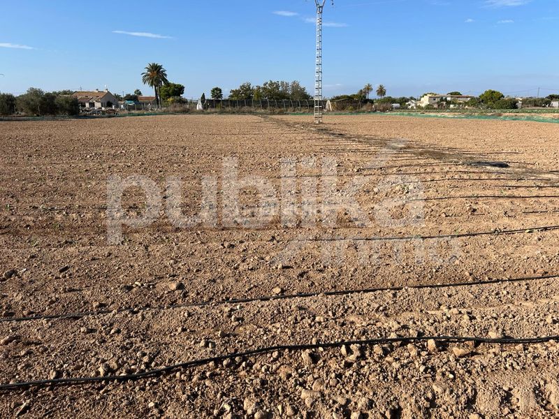 Foto b05bfc0d-12e0-4513-8441-29efd9b3d379. Finca rústica a partida baya baja 53 a Las Bayas Elche / Elx