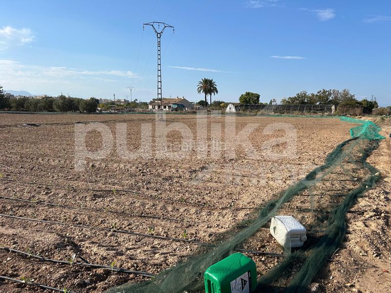 Foto ba5f1060-290a-4612-9740-e9a1dedf8bfc. Finca rústica a partida baya baja 53 a Las Bayas Elche / Elx