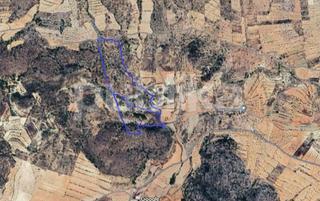 Rural plot in Polígono poligono 29 parcela 129. Terreno en la canalosa