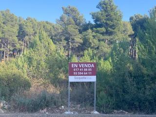Residential Plot in Cabra del Camp