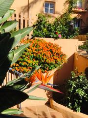 Apartament en Riviera del Sol. Precioso apartamento de 2 dormitorios en magnfico residencial