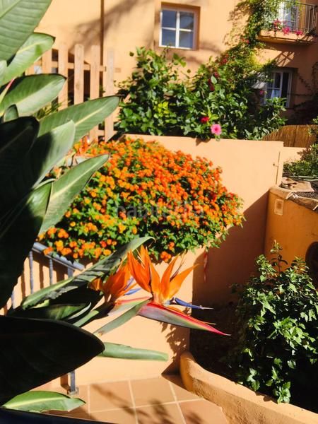 Foto 6fa74506-136d-4d8c-a16c-486a4139a1a1. Apartament amb piscina a Riviera del Sol Mijas