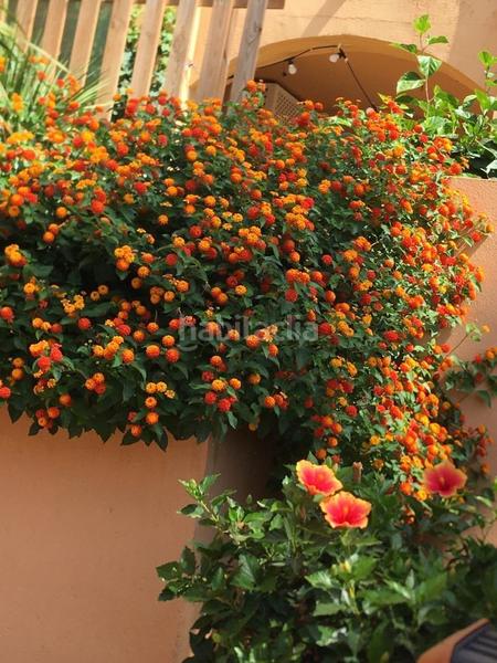 Foto 7cd8f824-c655-43ff-8e96-81c8bdf614ee. Apartament amb piscina a Riviera del Sol Mijas