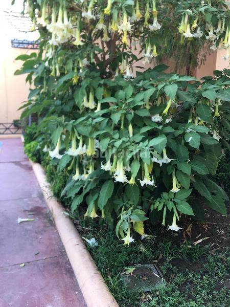 Foto 7ee1a0cc-35f0-4735-9840-740addf0f502. Apartament amb piscina a Riviera del Sol Mijas