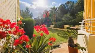 Apartament  Carrer bell puig. Apartamento en planta baja con gran jardn en cas catal