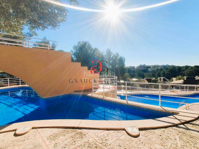 Foto 2fec4787-c5b5-4a3f-8ae1-8b3fe00f20f6. Planta baja apartamento con gran terraza en bendinat, en Calvià