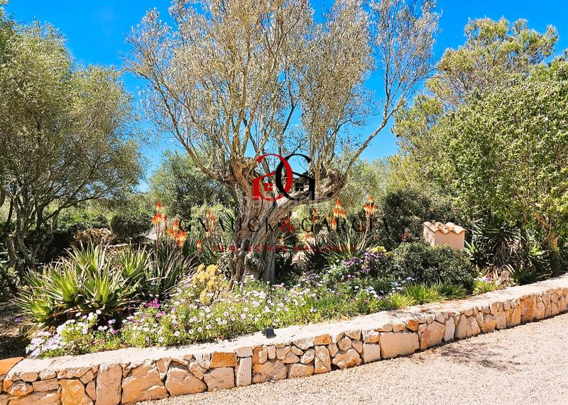 Foto 25dfda77-e152-4f88-9e15-edf0969bbd4b. Chalet finca con gran piscina, cerca en venta en Santanyí