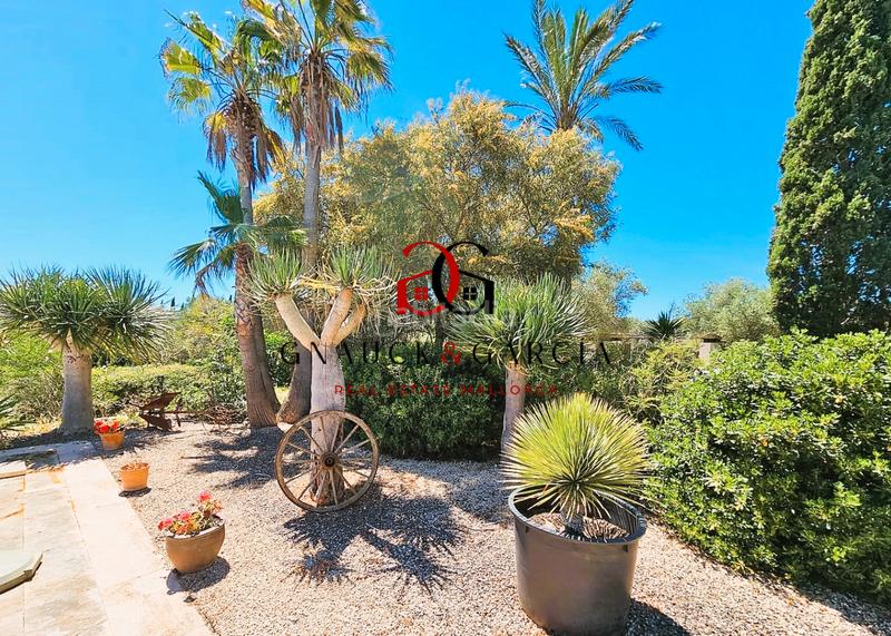 Foto c3a79c27-586a-43fe-8eab-0408245f3373. Chalet finca con gran piscina, cerca en venta en Santanyí