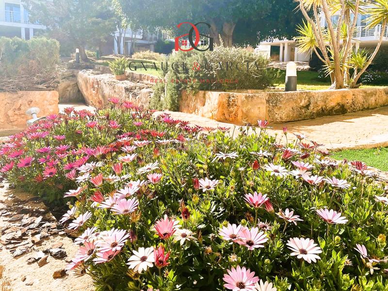 Foto 6dce5ee0-7df9-463e-88ec-cfedaa6fa34a. Reihenhaus mit kamin heizung parking pool in Son Verí Llucmajor