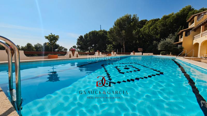 Foto 08c4784b-3979-488f-8fd6-8a5b9840397a. Studiowohnung mit heizung pool in Peguera Calvià