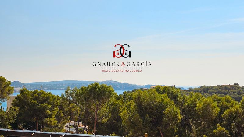 Foto dba97b97-63cc-4167-a3df-f702809d49cf. Studiowohnung mit heizung pool in Peguera Calvià