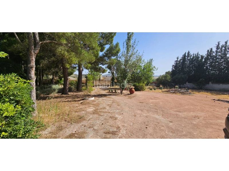 Foto 82ab21ff-f622-46a3-8f58-809feca99554. Masia amb piscina a Jumilla
