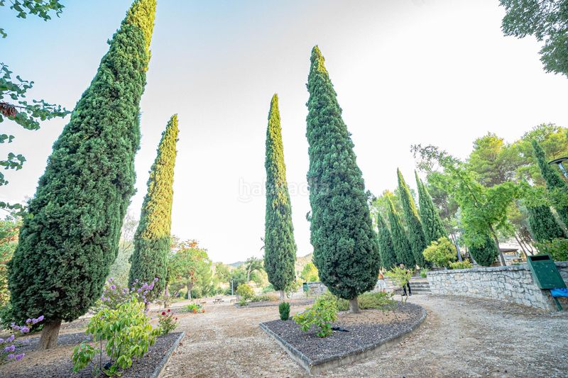 Foto a01606b7-c1a3-4dc4-8412-13bf1cf31906. Casa amb aparcament a Nonaspe