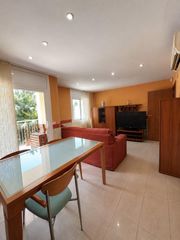 Pis a Malgrat de Mar. Piso en venta en calle escultor clarà, 6  malgrat de mar